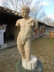 Busto in Terracotta con Base in Travertino