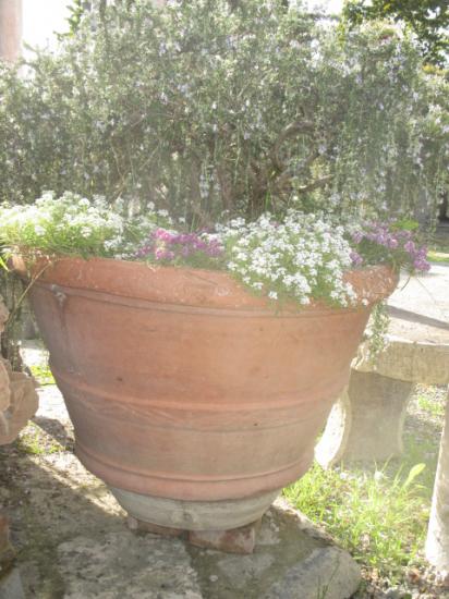 Conca vaso realizzata in maniera artigianale in terracotta toscana.