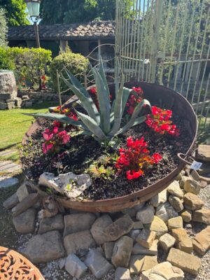 Braciere / Fioriera in Ferro