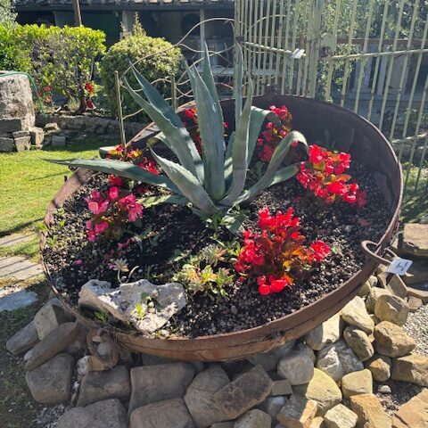 Braciere / Fioriera in Ferro