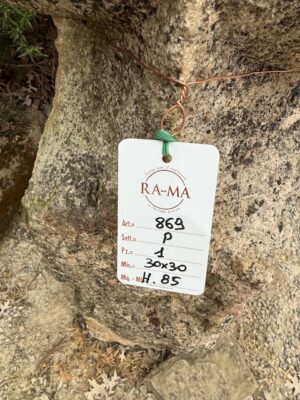 Paracarro in Travertino