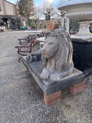 Coppia di Leoni a Terra in Pietra