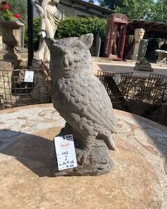 Gufi della Val di Merse