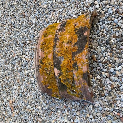 Colmo per marsigliese