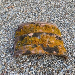 Colmo per marsigliese