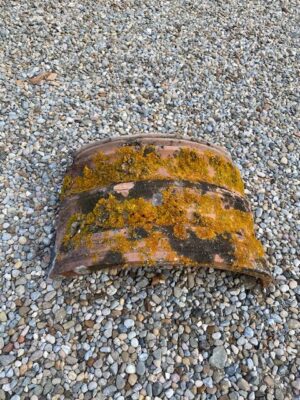 Colmo per marsigliese