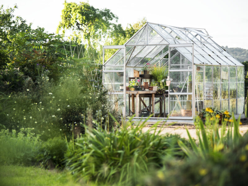 glass-greenhouse