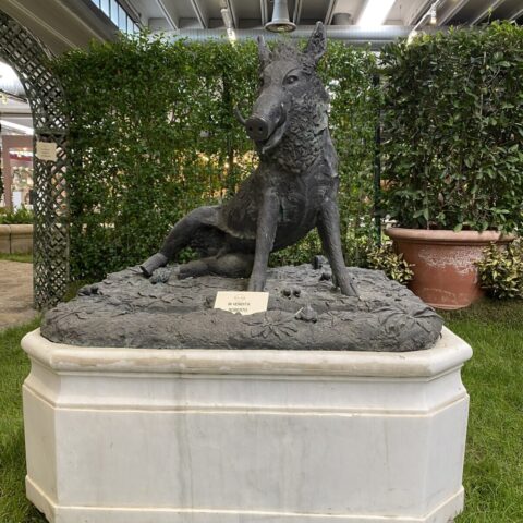 Porcellino Naso Magico