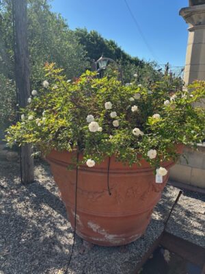 Coppia di Conche in Cotto Lavorate