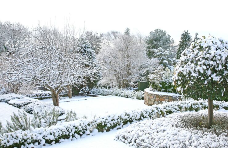 Giardino d'inverno Firenze