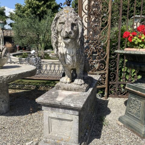 Coppia di Leoni del Chianti