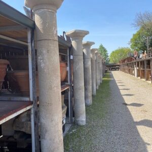 Coppia di Colonne in Pietra Serena di Recupero con Capitello