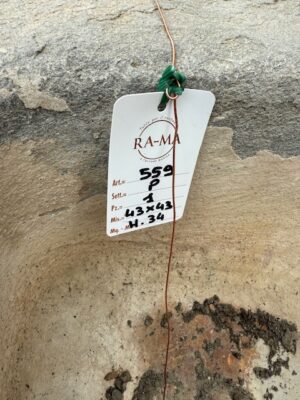 Vasca in Pietra Serena Angolare