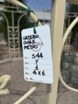 Gazebo Ovale Medio