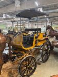 Carrozza Pian di Giuggiole con Cappottina