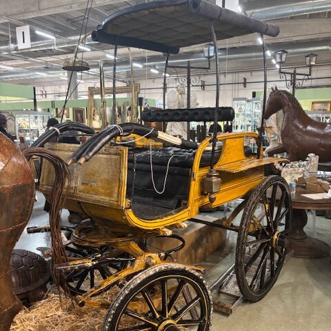 Carrozza Pian di Giuggiole con Cappottina