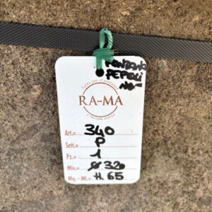 vasca in pietra