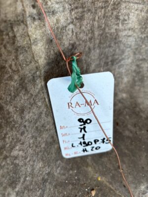 Vasca in Marmo Grande Rif. DX