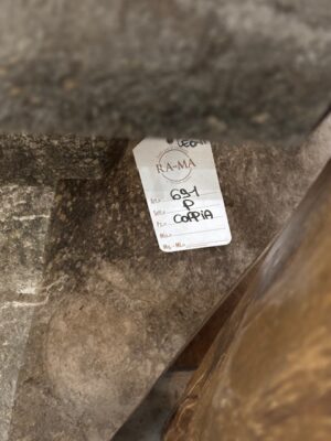 Coppia di Leoni in Pietra su Basamento