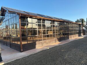 Giardino d'inverno Il Mago di Oz