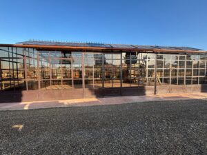 Giardino d'inverno Il Mago di Oz