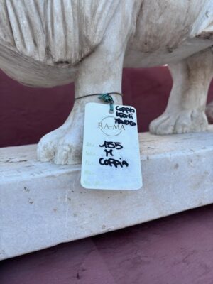 Coppia di Leoni in Marmo