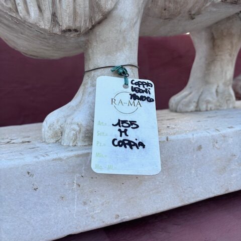 Coppia di Leoni in Marmo