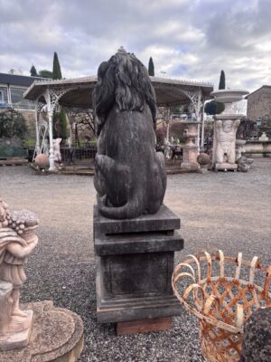 Coppia di Leoni con Base in Pietra