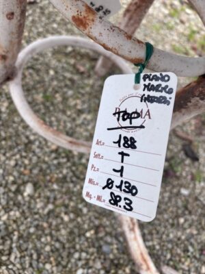 Piano Tavolo in Marmo con Intarsi