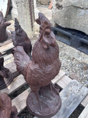 Gallo in Ghisa Medio