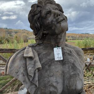 Busto in Pietra Hercules