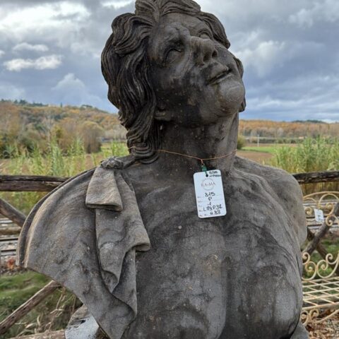 Busto in Pietra Hercules