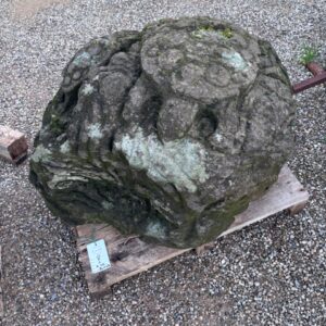 Scultura in Pietra con Tartarughe