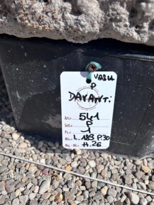 Vasca in Pietra a Doppia Buca