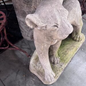 Scultura Puma Leone in Pietra