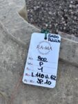 Bassorilievo La Passera