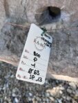Bocca in Pietra con Protuberanza