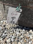Base per Vaso in Pietra