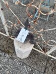 Colonnino in Pietra Antico con Fregio