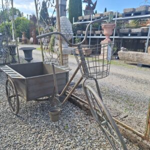 Bicicletta Portafiori