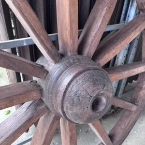 ruota del carro