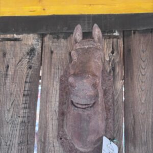 testa cavallo
