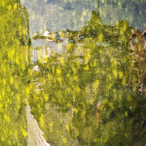 vaso verde grande