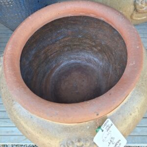 Vaso leone