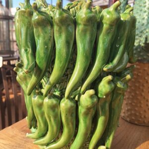 Vasi Peperoncini Verdi in cotto