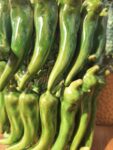 Vasi Peperoncini Verdi in cotto