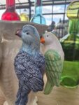 Vasi Tropicana con Pappagalli in cotto