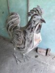 Gallo in ferro Grande