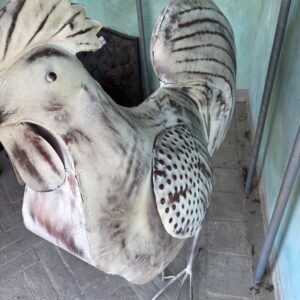 gallo grande