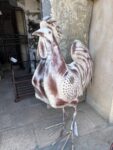 Gallo in Ferro Medio